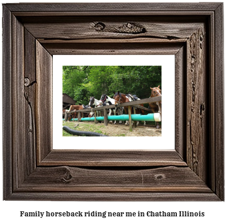 family horseback riding near me in Chatham, Illinois